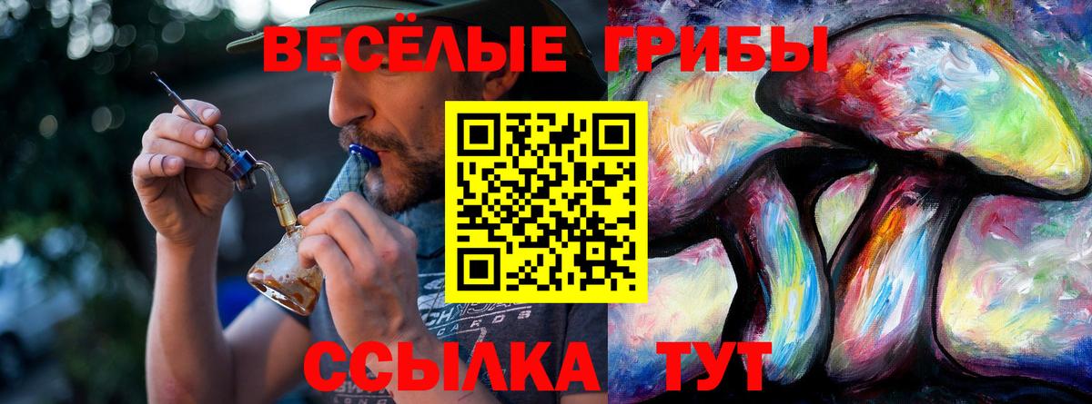 Новозыбков  Галлюциногенные грибы мицелий  Вход с VPN 