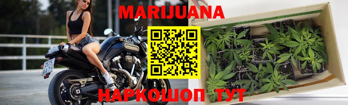 Новозыбков  Канабис ГИДРОПОН  Вход с VPN  МАРИХУАНА OG Kush  Марихуана план  Бошки марихуана гибрид 